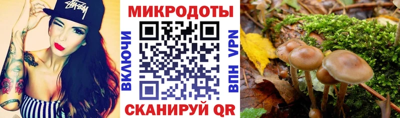 Купить Гороховец Псилоцибиновые грибы GOLDEN TEACHER